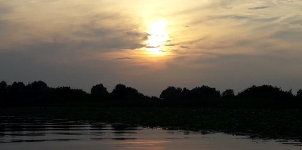 Gita a Mantova 16 luglio